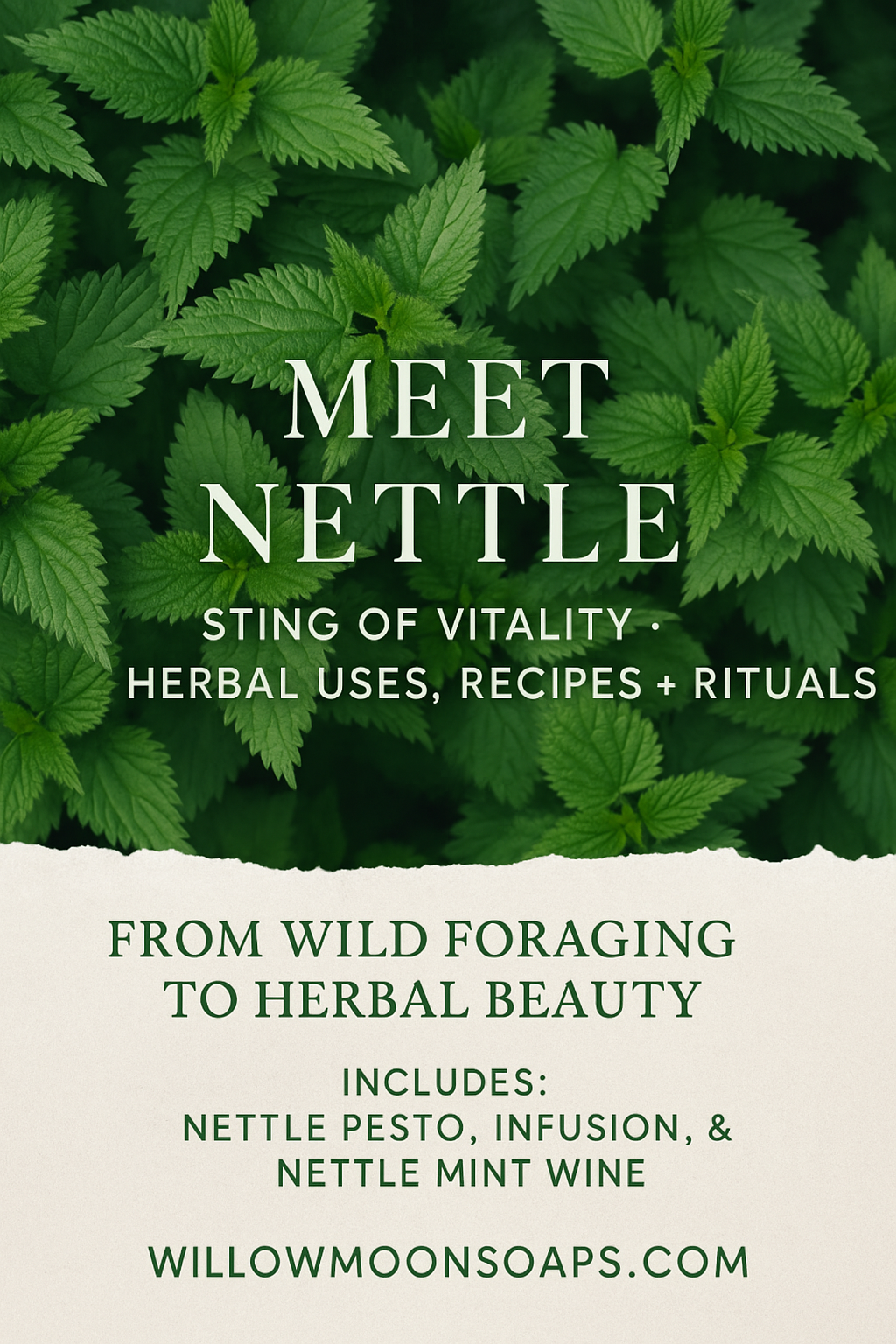 Nettle Benefits, Folklore & Herbal Recipes  willowmoonsoaps.com