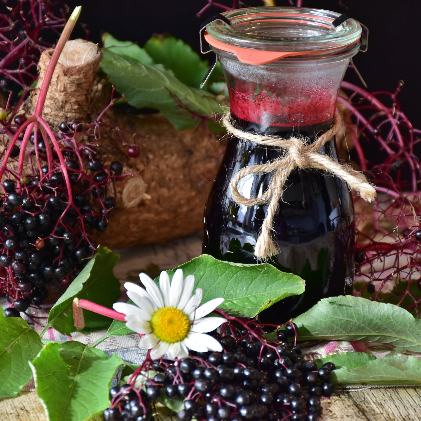 Elderberry Elixir | Exfoliating Elderberry & Honey Soap Bar