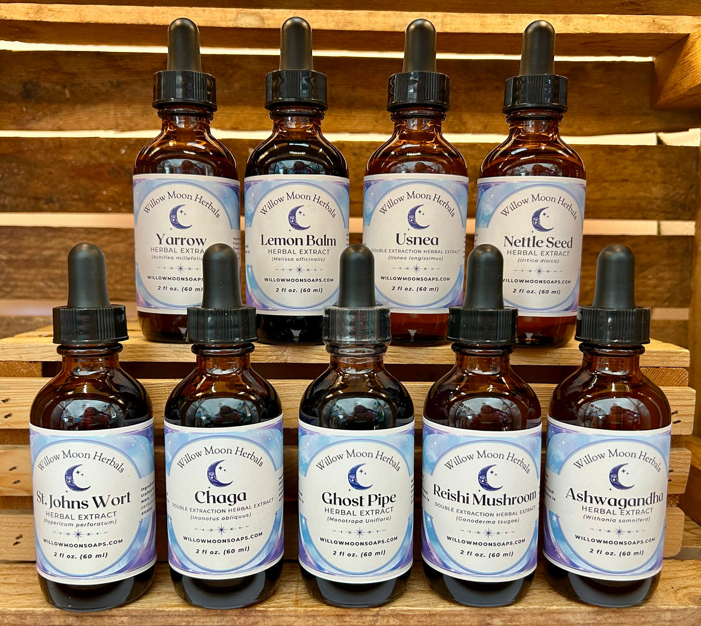 Chaga mushroom tincture, Double extracted, wildcrafted chaga mushroom, Inonotus obliquus Inonotus obliquus
