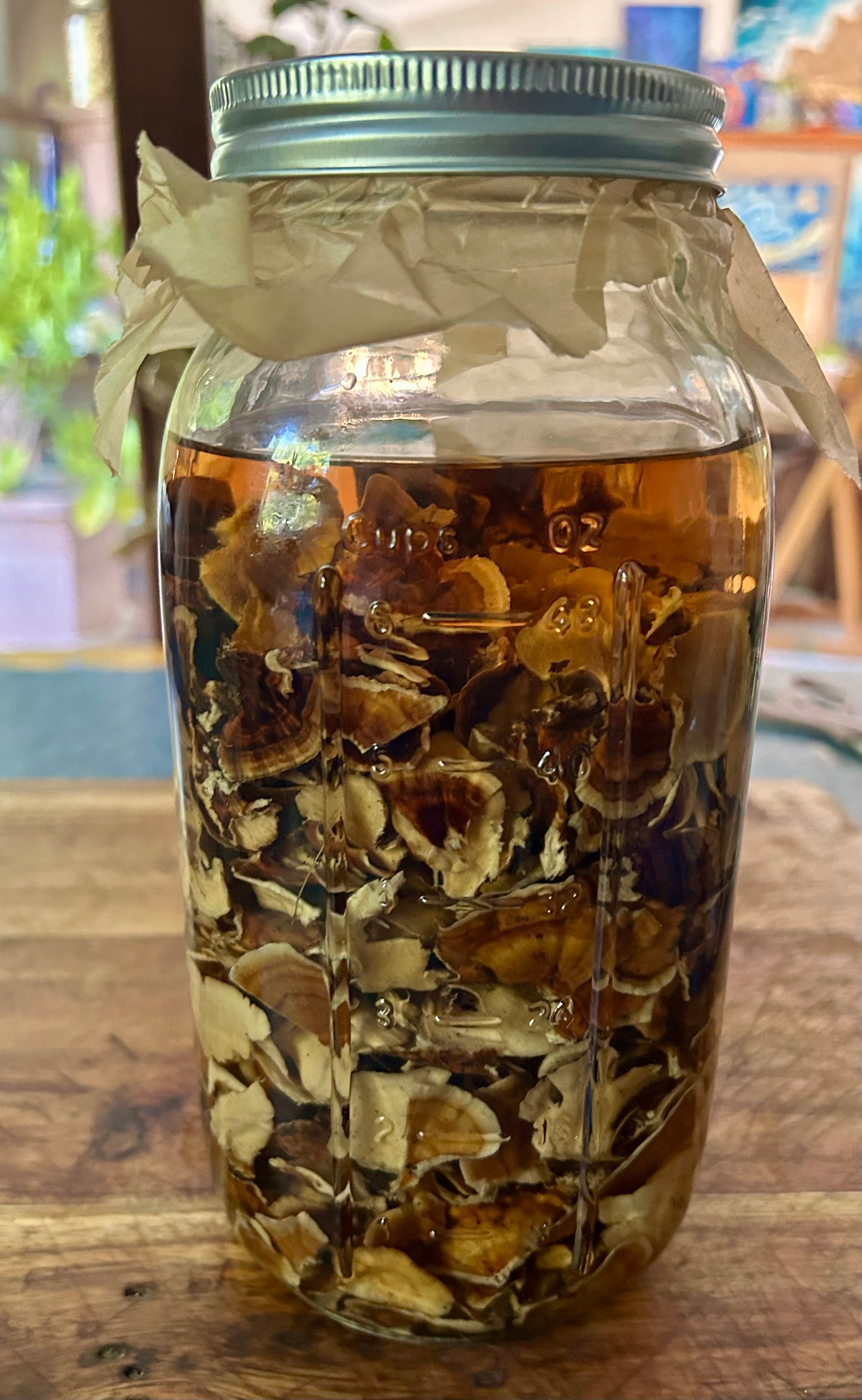 Turkey Tail Mushroom Tincture, small batch extract