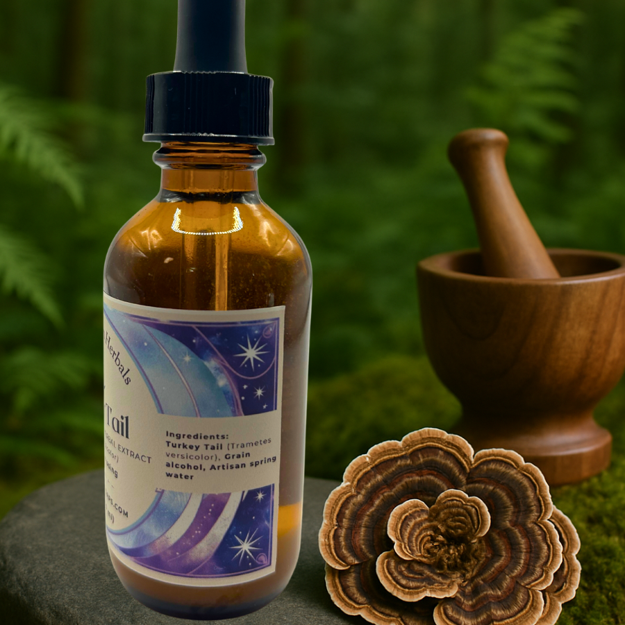 Turkey Tail Mushroom Tincture, small batch extract