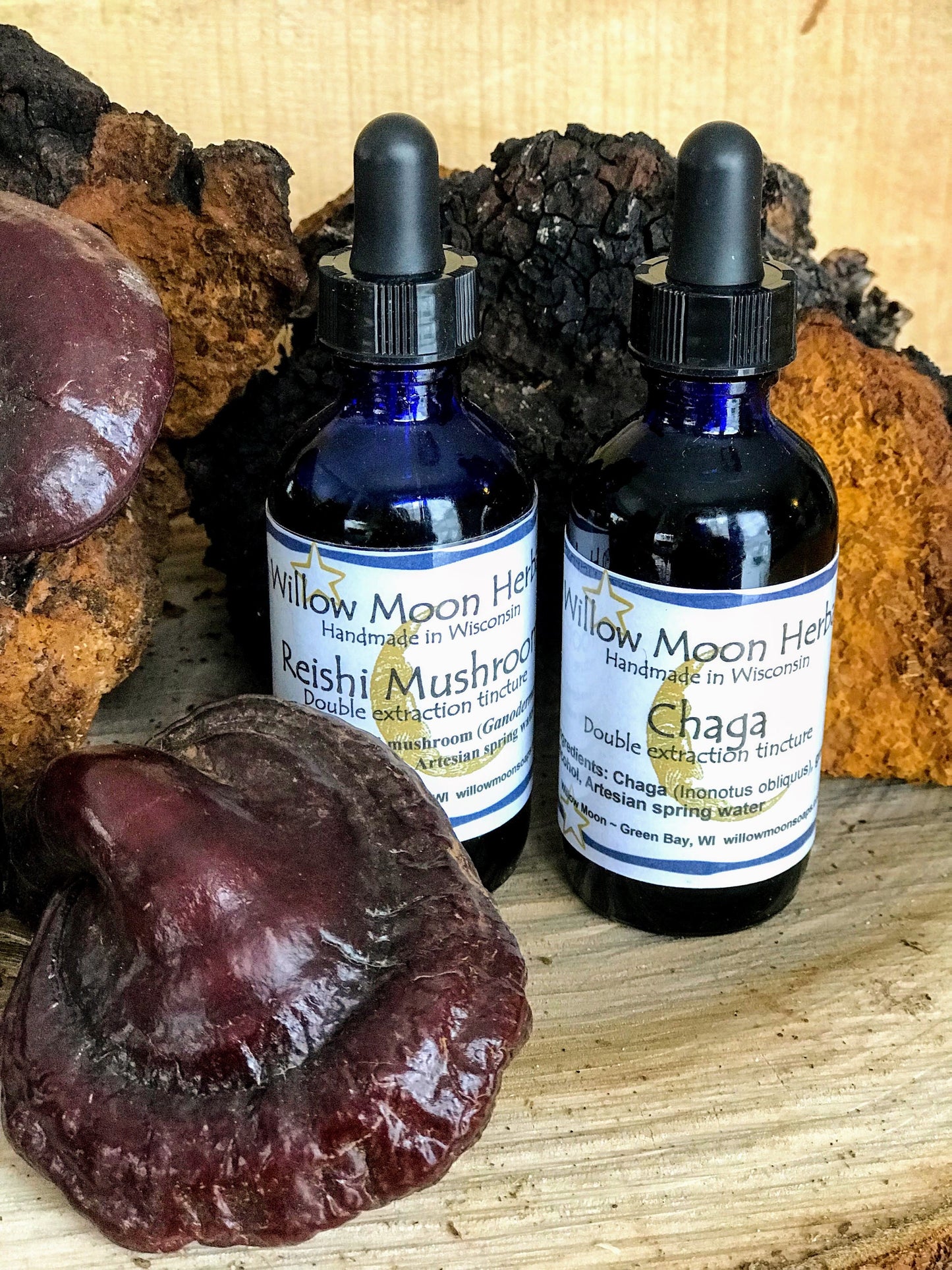 Wildcrafted Chaga Mushroom Tincture & Finely Ground Chaga Powder - Double Extract