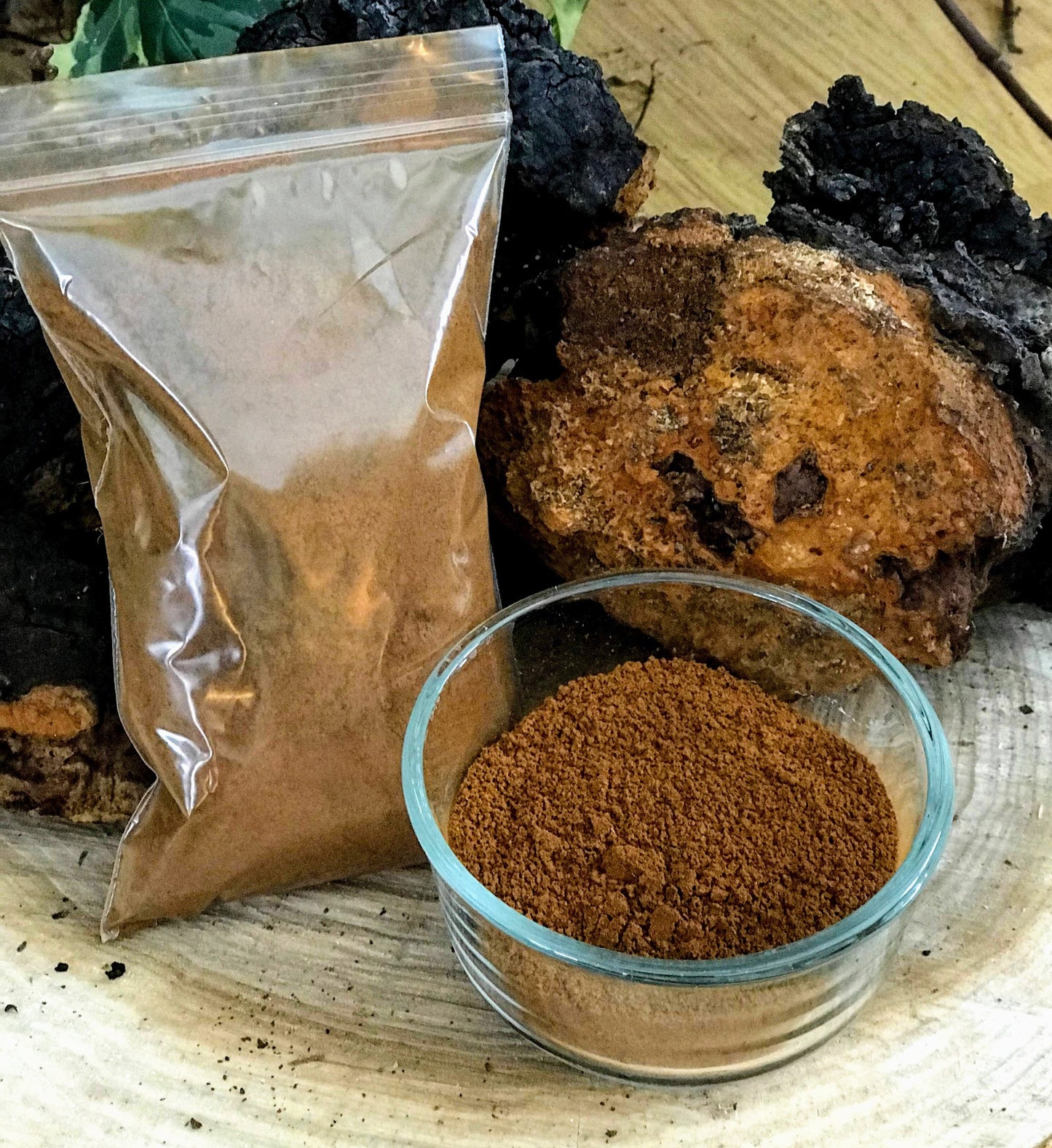 Wildcrafted Chaga Mushroom Tincture & Finely Ground Chaga Powder - Double Extract