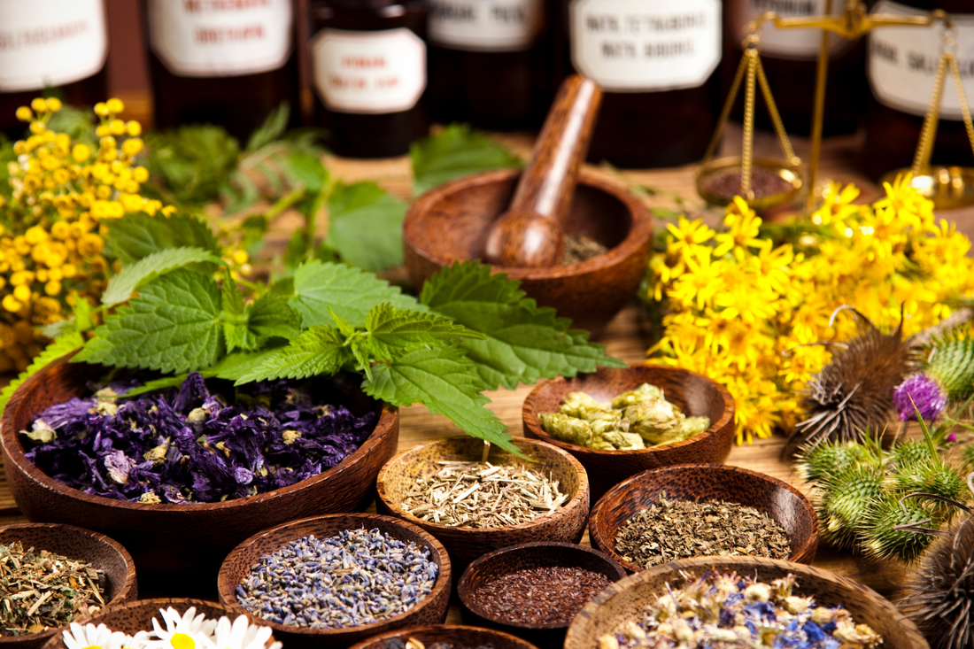 What is Herbalism?
