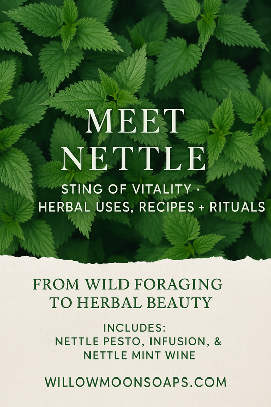 Meet the Plants: Nettle Benefits, Folklore & Herbal Recipes