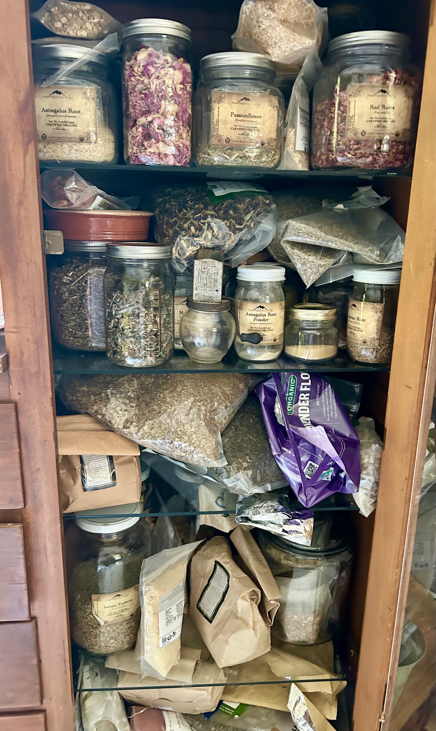 Instant Download | Complete Apothecary Labels | 2.25" and 3" Sizes PDF | 100+ Herbs & Medicinal Mushrooms | Bonus Blank Labels