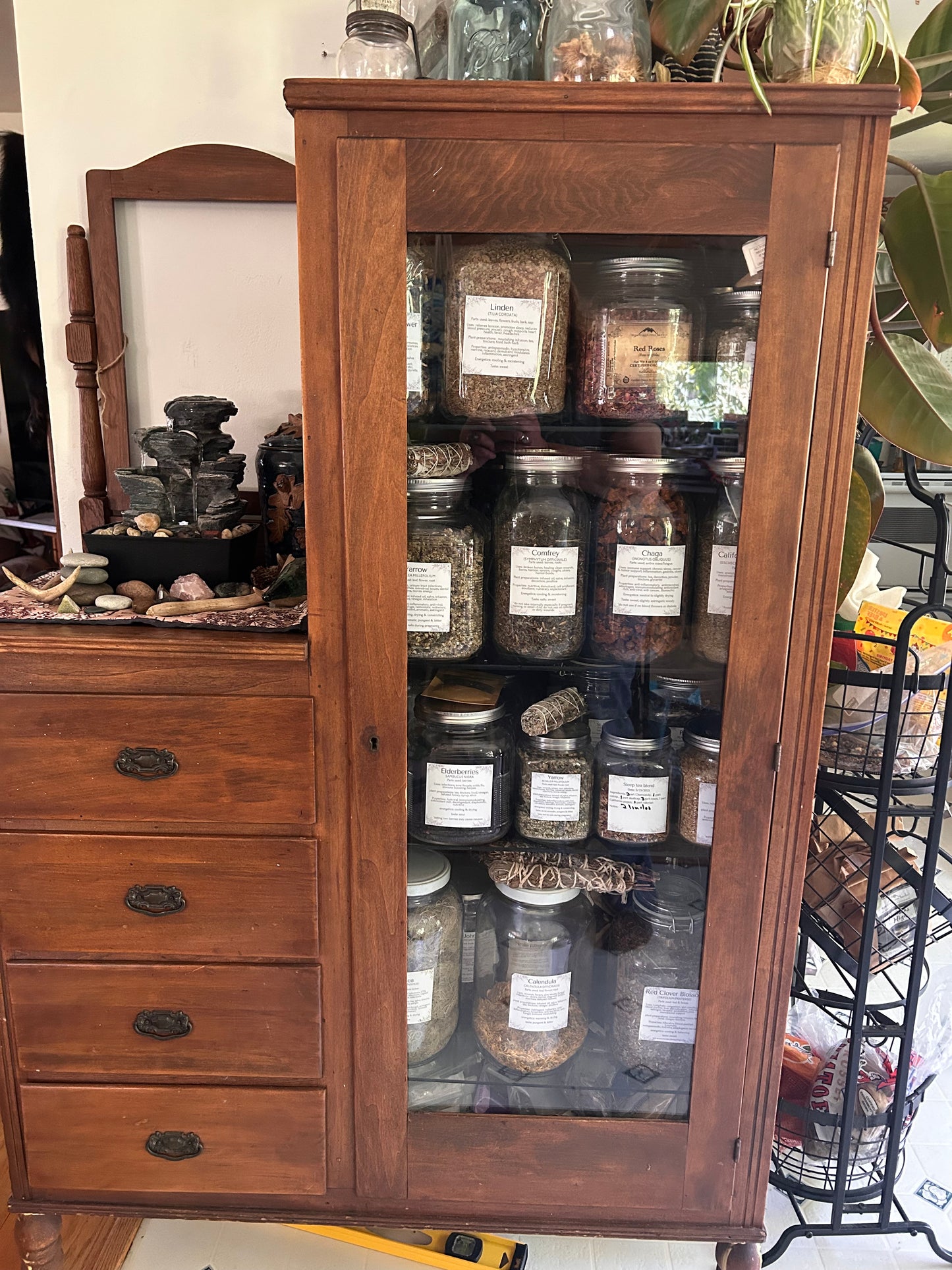 Instant Download | Complete Apothecary Labels | 2.25" and 3" Sizes PDF | 100+ Herbs & Medicinal Mushrooms | Bonus Blank Labels