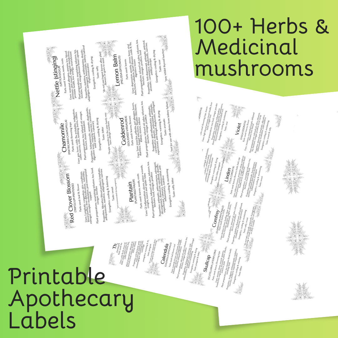 Instant Download | Complete Apothecary Labels | 2.25" and 3" Sizes PDF | 100+ Herbs & Medicinal Mushrooms | Bonus Blank Labels