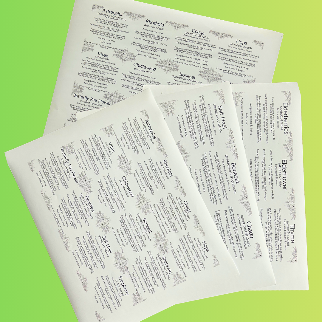Instant Download | Complete Apothecary Labels | 2.25" and 3" Sizes PDF | 100+ Herbs & Medicinal Mushrooms | Bonus Blank Labels
