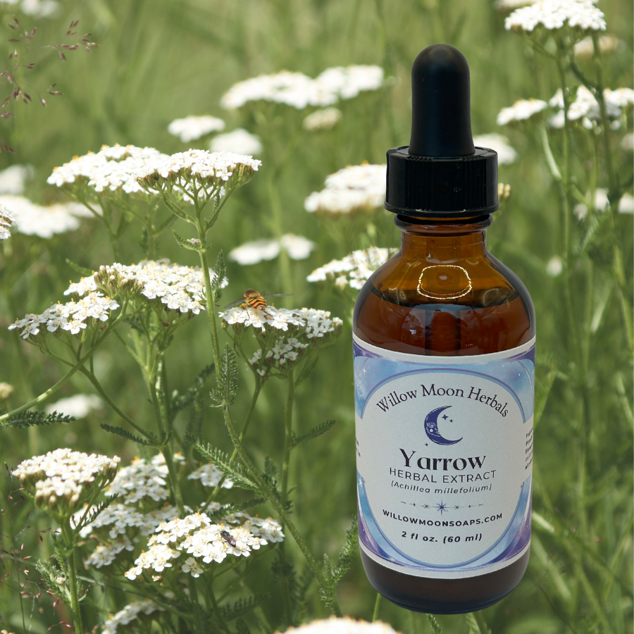 Yarrow Tincture (Achillea millefolium)   premium quality tincture, liquid herbal extract