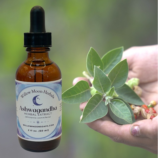 Ashwagandha Tincture, Withania somnifera Herbal Extract, Liquid Botanical Tincture