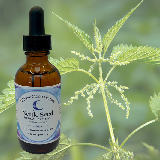 Nettle seed tincture (Urticaria dioica) liquid herbal extract