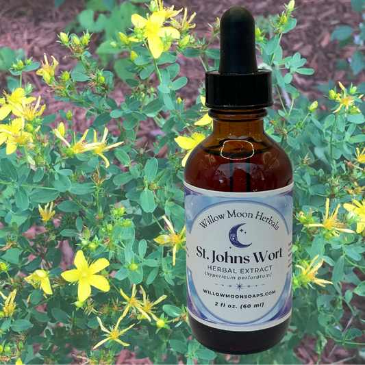 St. John’s Wort Tincture, Fresh Wildcrafted Herbal Extract