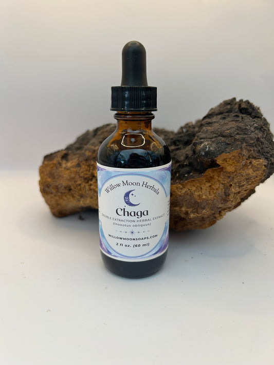 Chaga mushroom tincture, Double extracted, wildcrafted chaga mushroom, Inonotus obliquus Inonotus obliquus