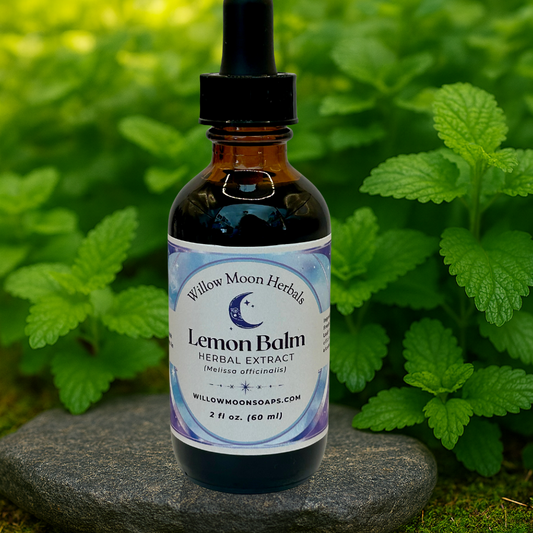 Lemon Balm Tincture | 2oz Herbal Extract | (Melissa officinalis)