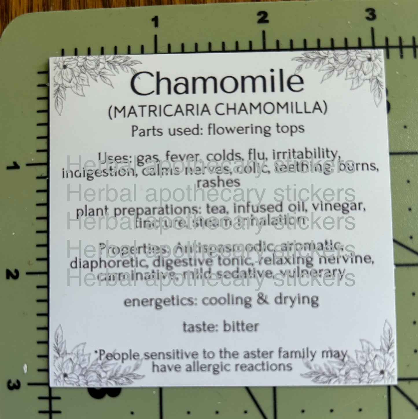 Instant Download | Complete Apothecary Labels | 2.25" and 3" Sizes PDF | 100+ Herbs & Medicinal Mushrooms | Bonus Blank Labels