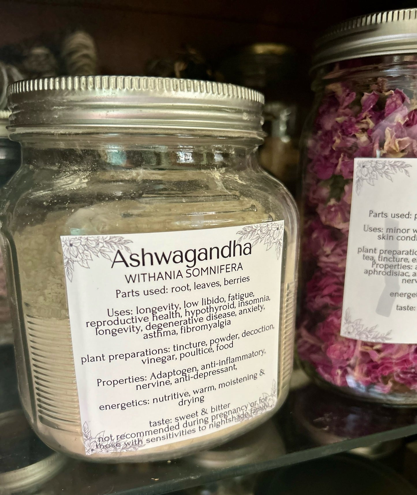 Instant Download | Complete Apothecary Labels | 2.25" and 3" Sizes PDF | 100+ Herbs & Medicinal Mushrooms | Bonus Blank Labels
