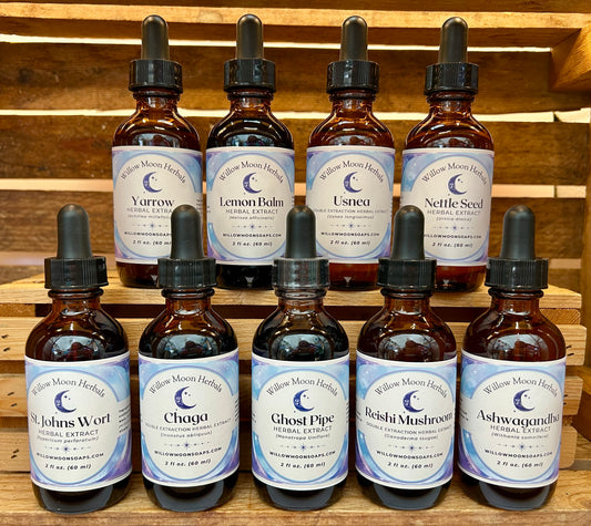 Ghost Pipe Herbal Tincture | Handcrafted with Wild Monotropa uniflora