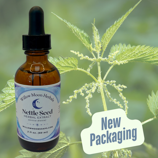 Nettle seed tincture (Urticaria dioica) liquid herbal extract