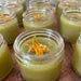 Jewelweed Salve, double infused with jewelweed, plantain, calendula   2 oz