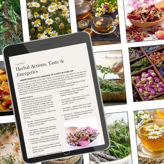 The Art of Herbal Tea Blending, Printable Herbal Guide for Tea Lovers & Herbalists | Herbal Education PDF, Natural Wellness Digital Book