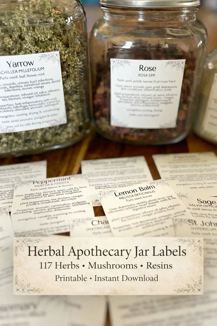Instant Download | Complete Apothecary Labels | 2.25" and 3" Sizes PDF | 100+ Herbs & Medicinal Mushrooms | Bonus Blank Labels