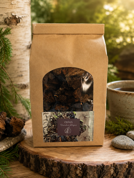 Chaga mushroom chunks for making teas, tinctures /, Inonotus obliquus, ethically wild harvested