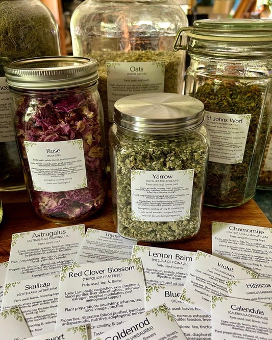 Herbal Apothecary jar Labels: 117 herbs, mushrooms, resins. Properties, actions, uses etc. (Instant Download PDF)