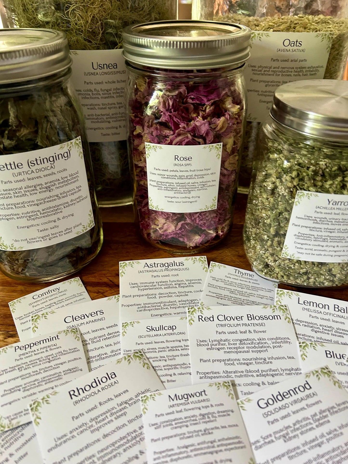 Herbal Apothecary jar Labels: 117 herbs, mushrooms, resins. Properties, actions, uses etc. (Instant Download PDF)
