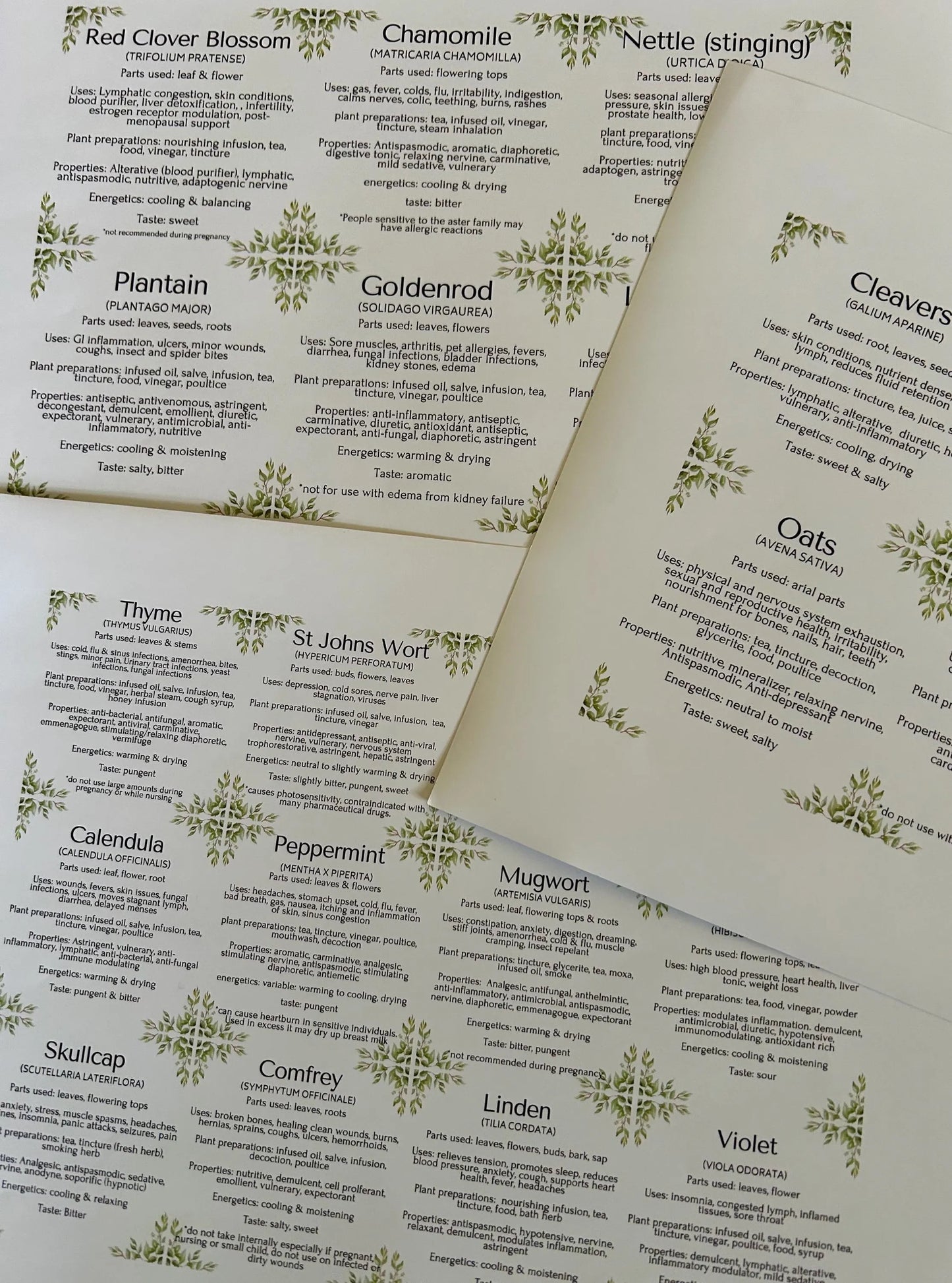 Herbal Apothecary jar Labels: 117 herbs, mushrooms, resins. Properties, actions, uses etc. (Instant Download PDF)