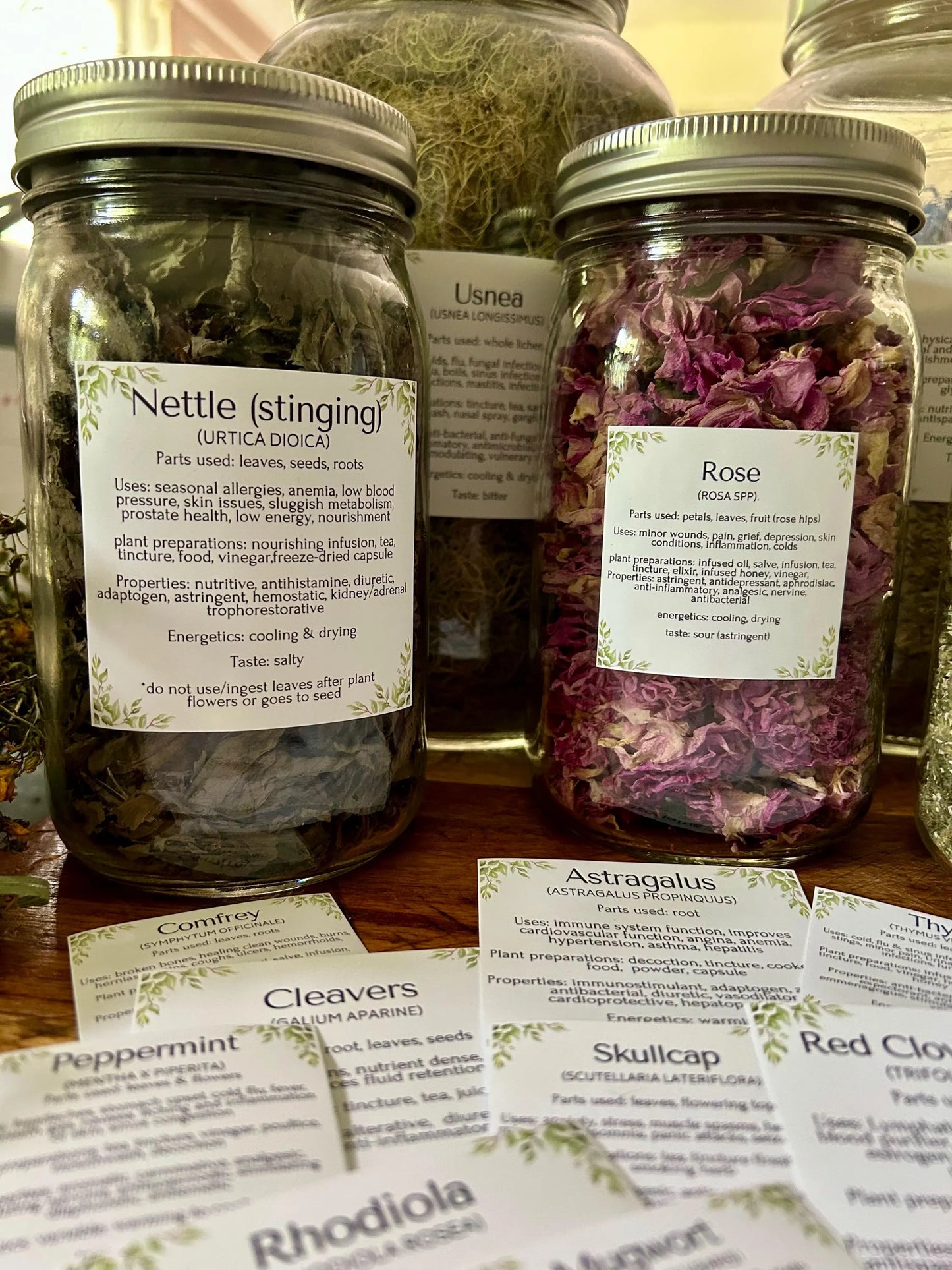 Herbal Apothecary jar Labels: 117 herbs, mushrooms, resins. Properties, actions, uses etc. (Instant Download PDF)