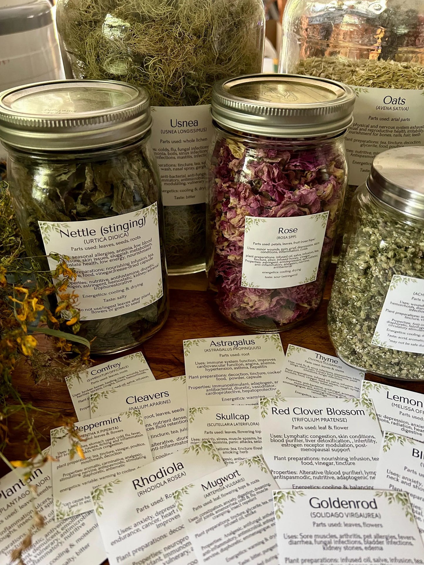 Herbal Apothecary jar Labels: 117 herbs, mushrooms, resins. Properties, actions, uses etc. (Instant Download PDF)