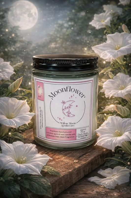 Moonflower Coconut Apricot wax candle 7.5 oz