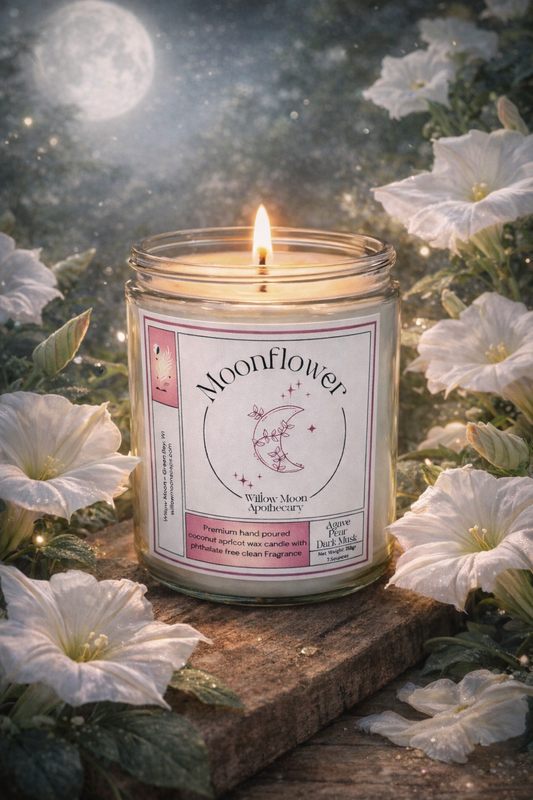 Moonflower Coconut Apricot wax candle 7.5 oz