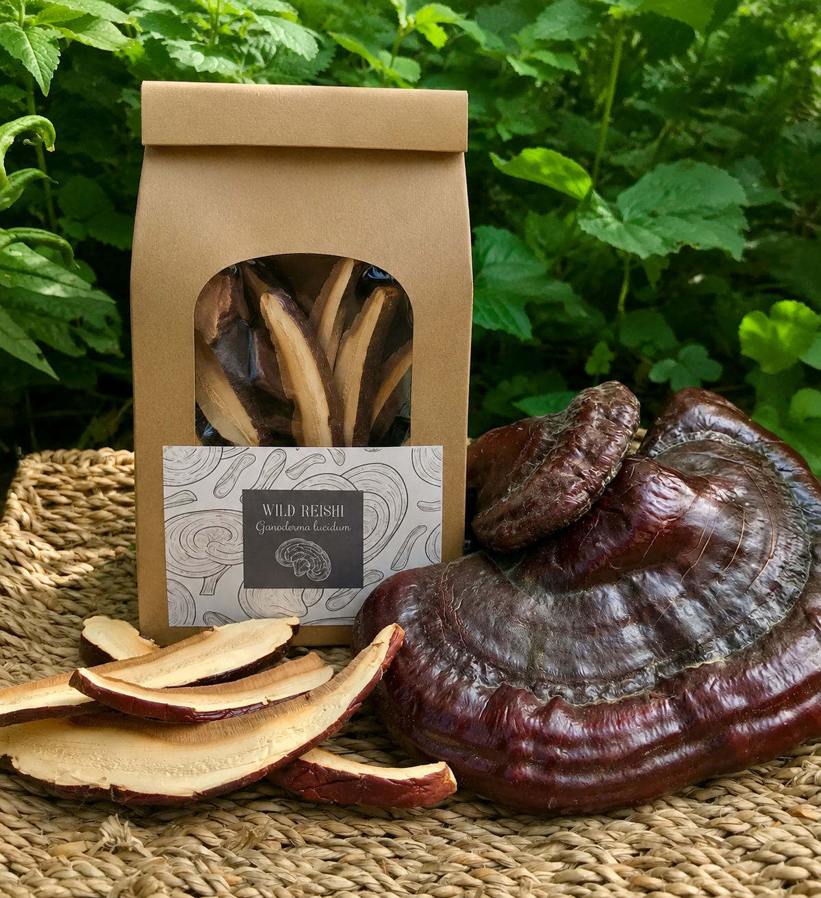 Wild Red Reishi slices dried, ethically harvested in northern Wisconsin. Ganoderma lucidum , mushroom of immortality