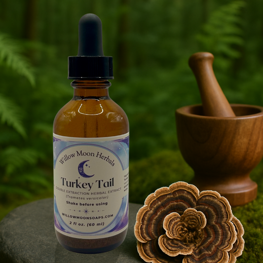 Turkey Tail Mushroom Tincture, small batch extract