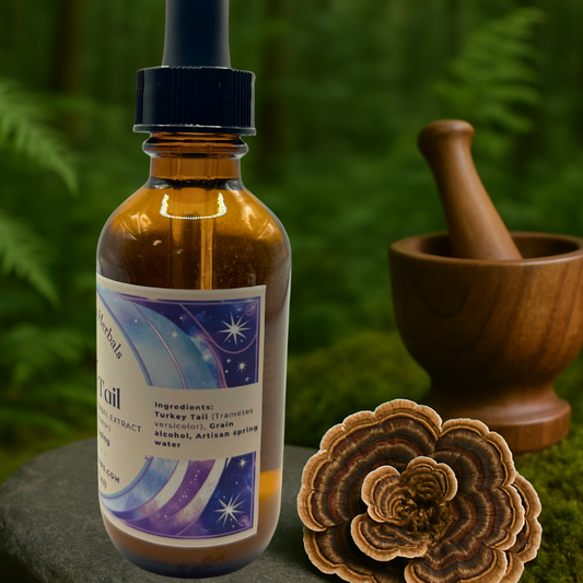 Turkey Tail Mushroom Tincture, small batch extract