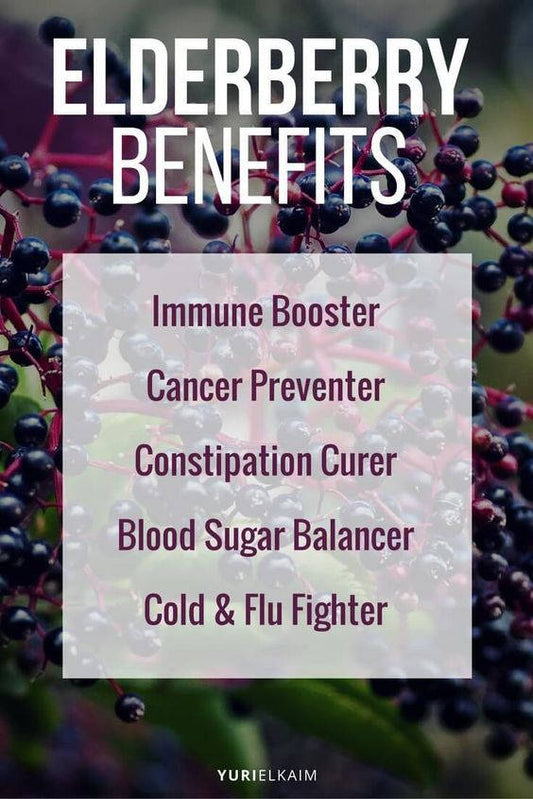 Elderberry Tincture, 2 oz