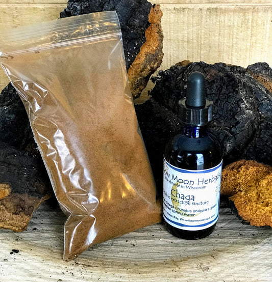 Chaga mushroom tincture Double extracted and 2 oz powdered Chaga for blending in smoothies, drinks and foods /Willow Moon