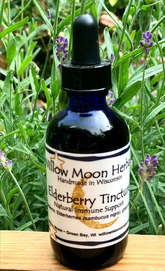 Elderberry Tincture, 2 oz