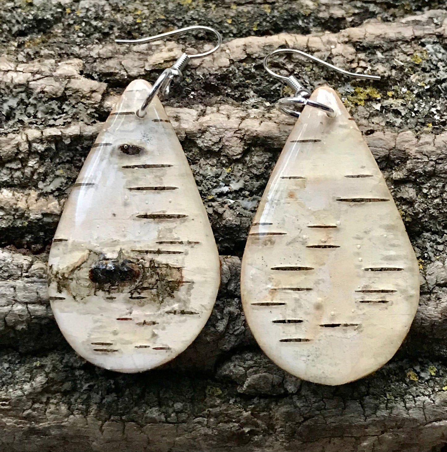 Natural Birch Bark Earrings